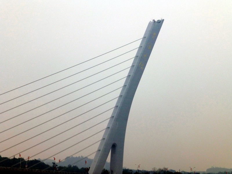 p1030103.jpg