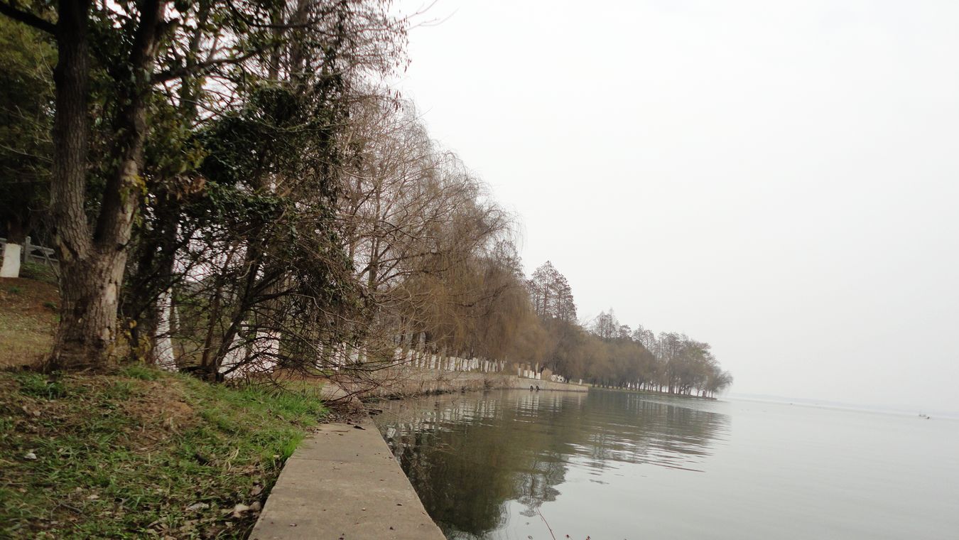 neo_img_dsc01386.jpg
