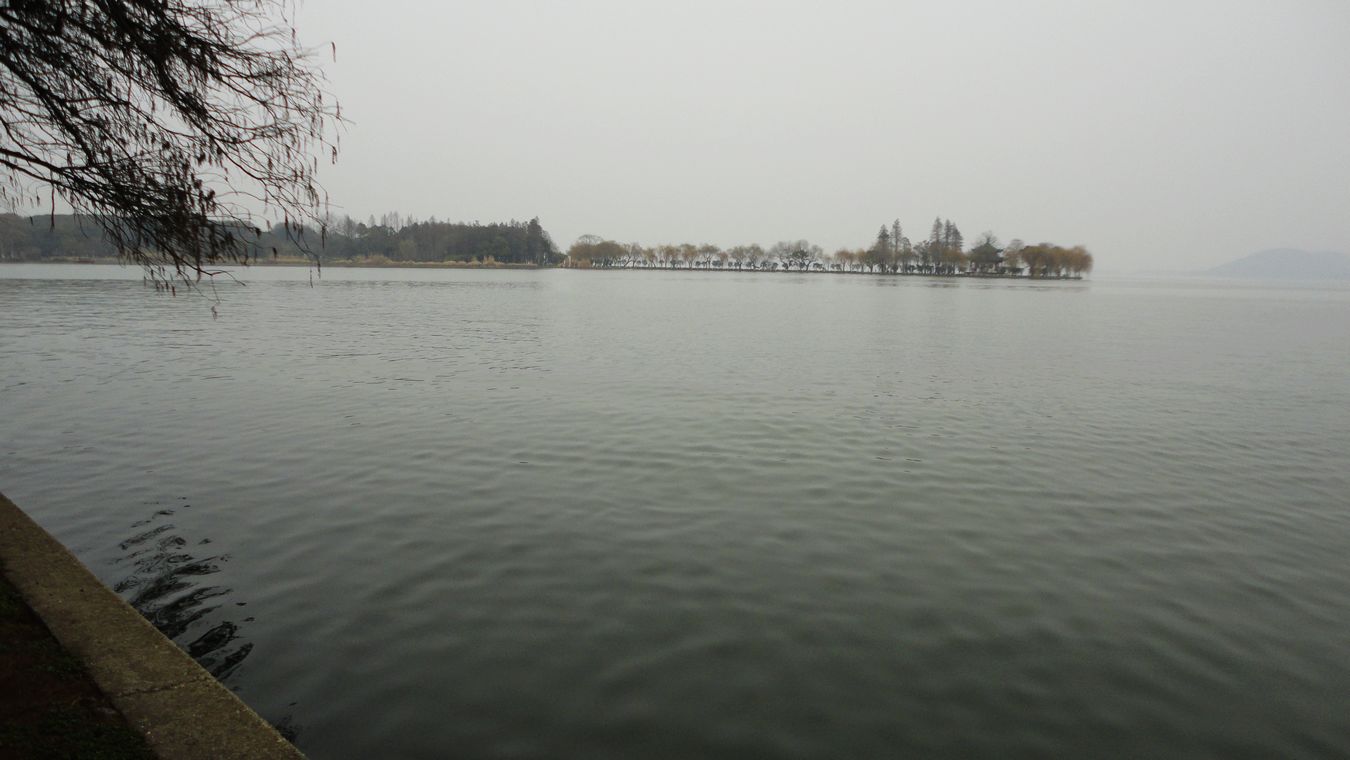 neo_img_dsc01411.jpg
