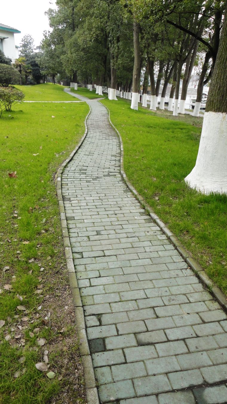 neo_img_dsc01443.jpg