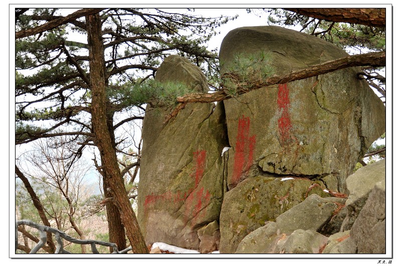 羰 (13).jpg