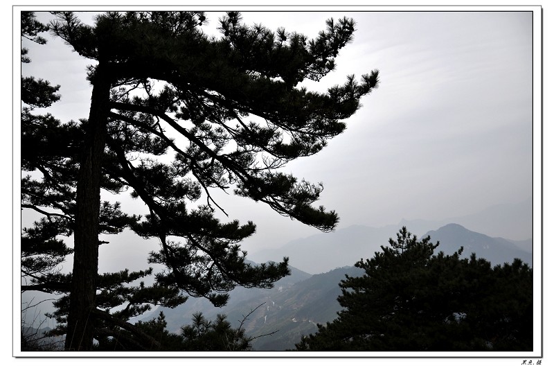 羰 (12).jpg