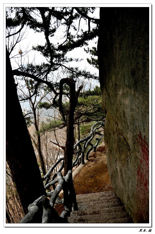 羰 (14).jpg