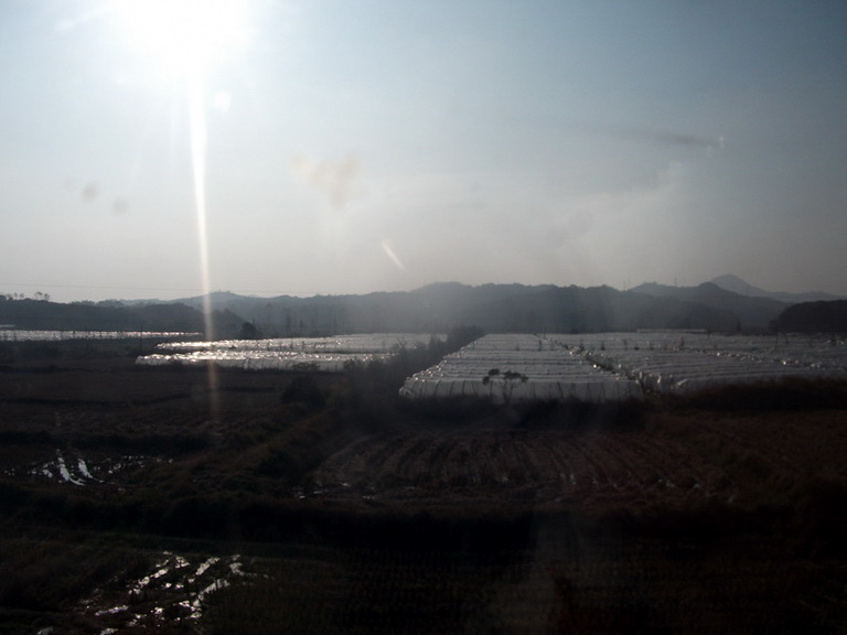 dscf0147.jpg