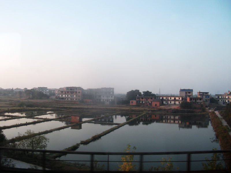 dscf0165.jpg