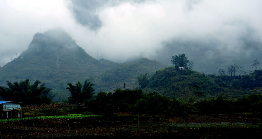 yjw_0031-1.jpg
