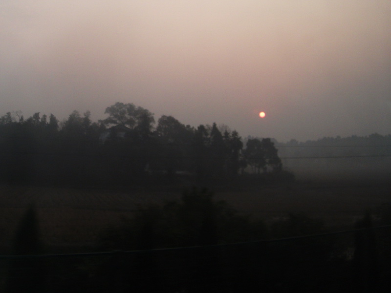 dscf0203.jpg