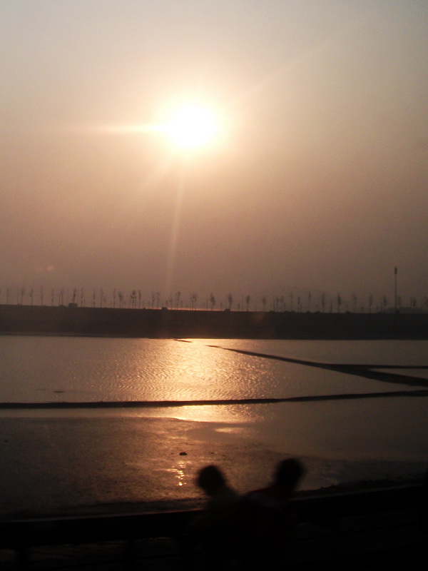 dscf0206.jpg