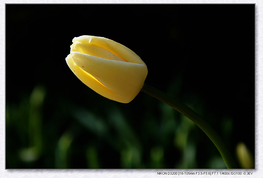 dsc_2859.jpg