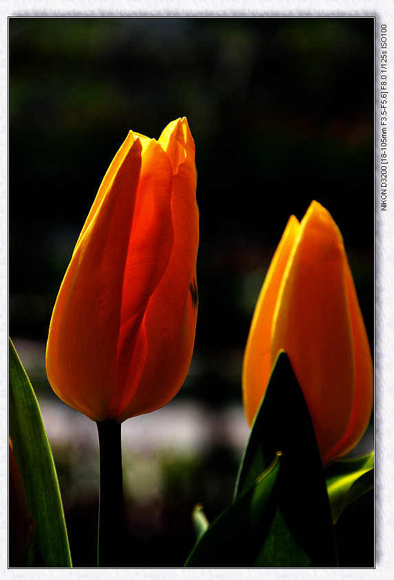 dsc_2891.jpg