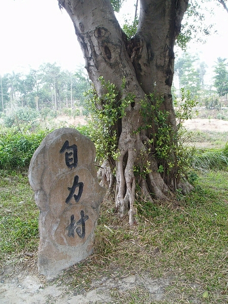 p1012428.jpg
