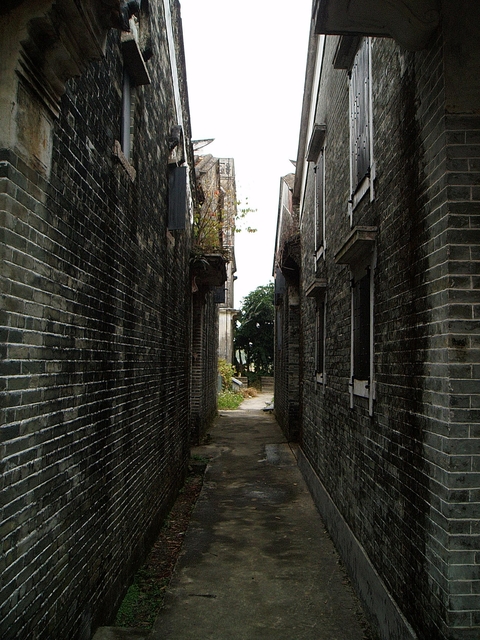 p1012464.jpg