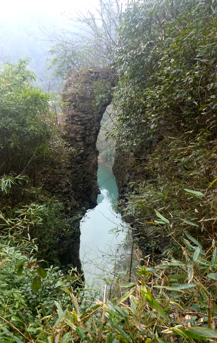 p1130913_.jpg