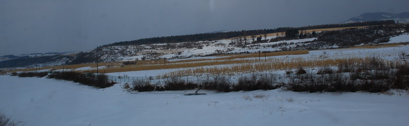 dsc_4127.jpg