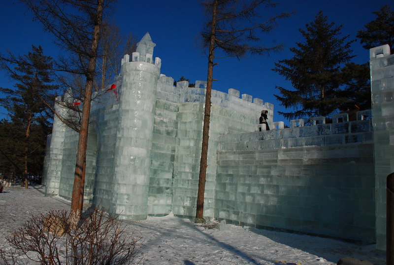 dsc_4200.jpg