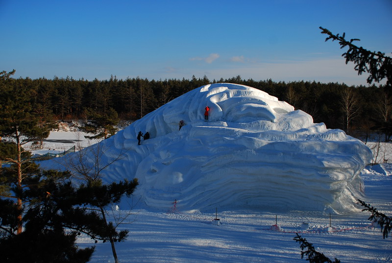 dsc_4224.jpg