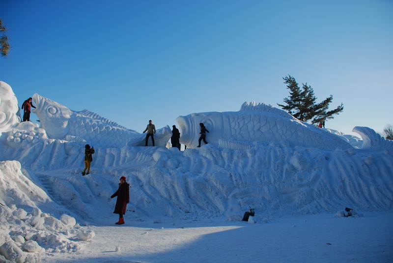 dsc_4238.jpg