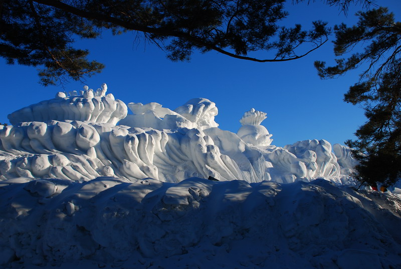 dsc_4252.jpg