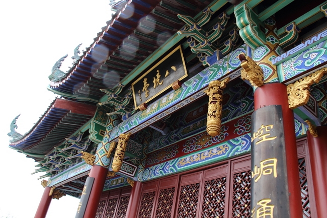neo_img_dpp_20503.jpg