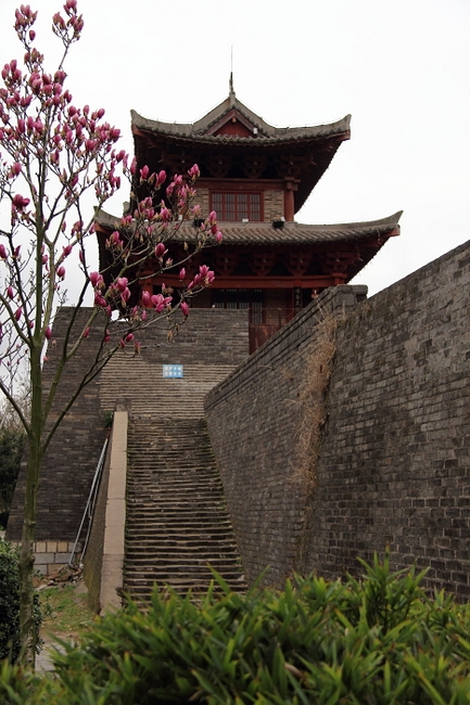 neo_img_dpp_20489.jpg