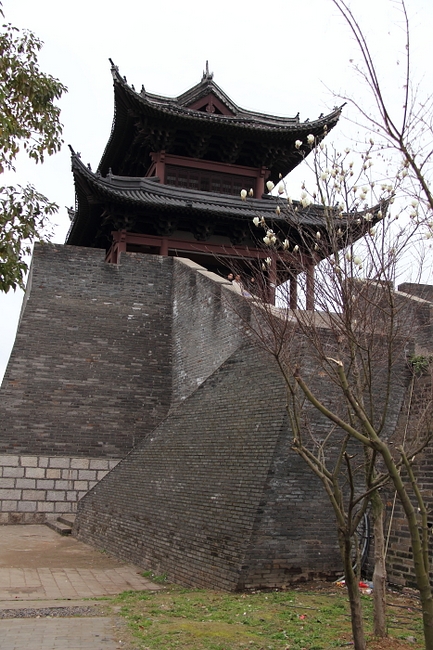 neo_img_dpp_20463.jpg