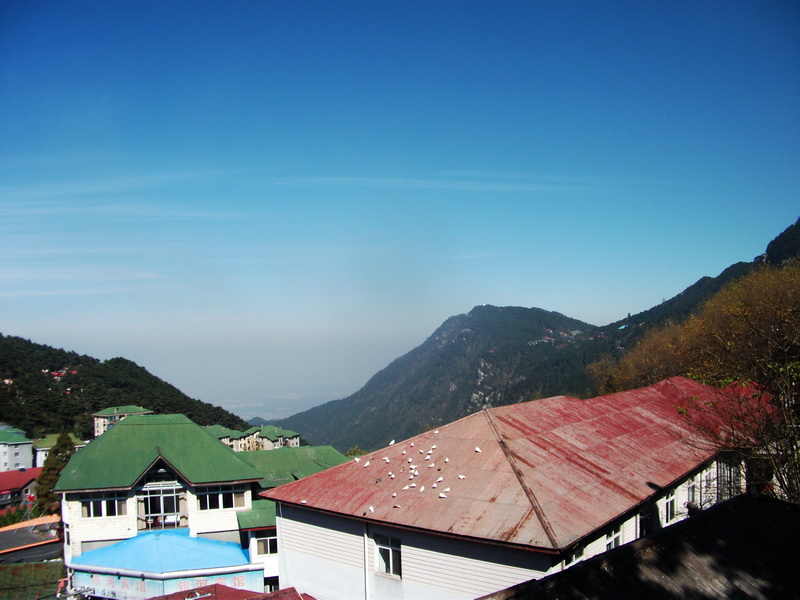 dscf0176.jpg