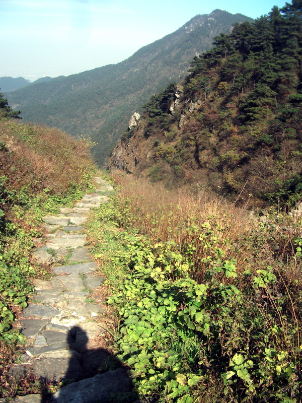 dscf0181.jpg
