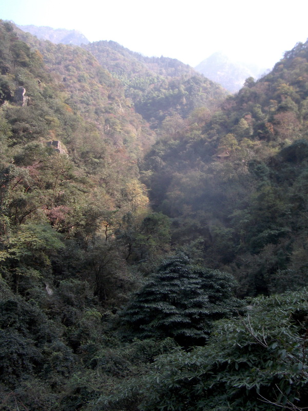 dscf0196.jpg