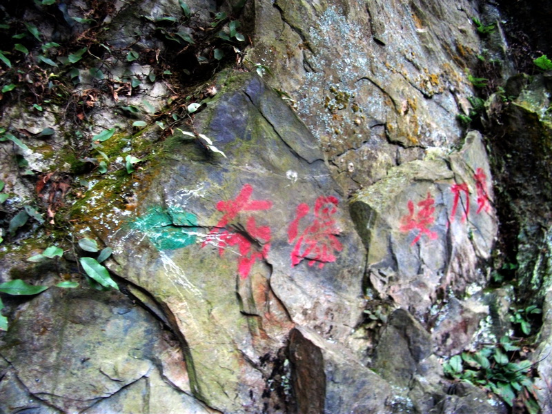 dscf0203.jpg