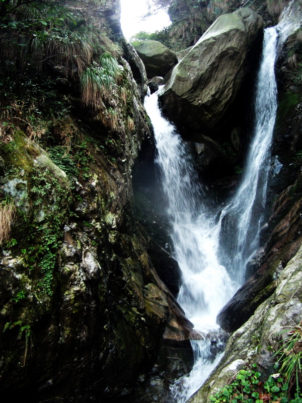 dscf0205.jpg