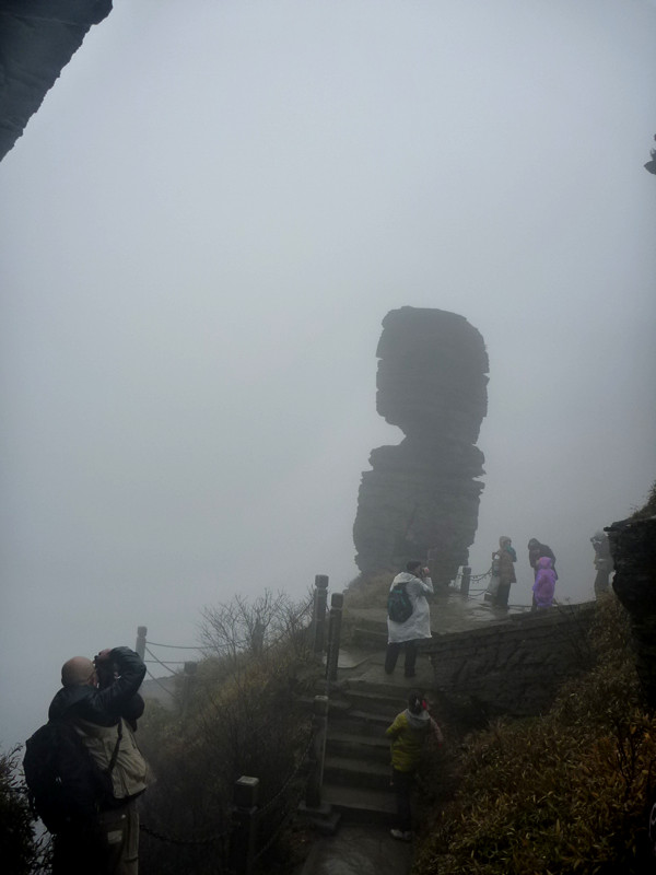 p1140058_.jpg