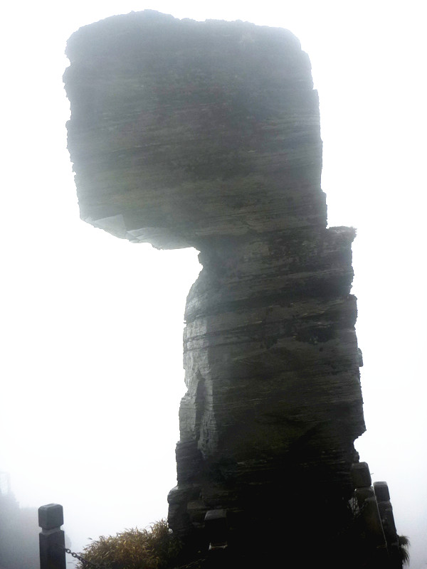 p1140068_1.jpg