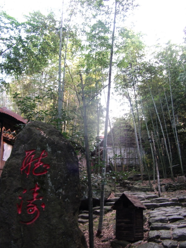 dscf0218.jpg