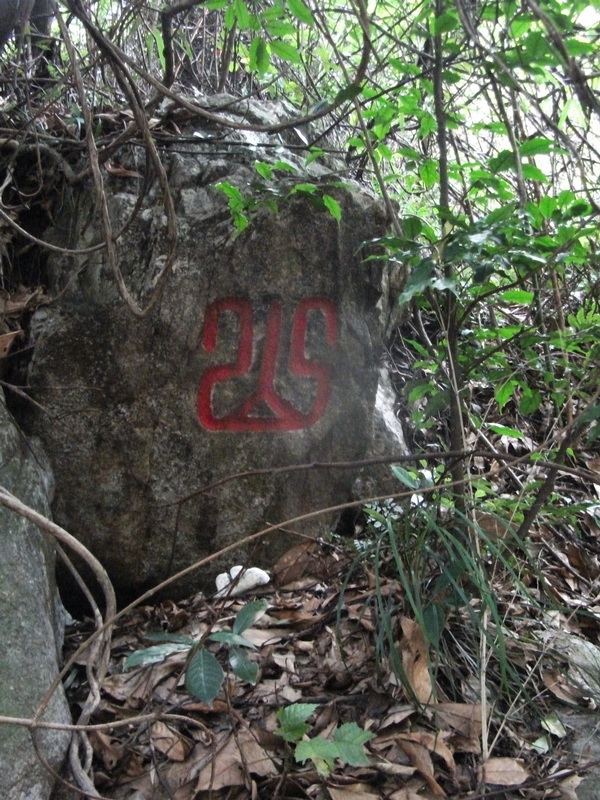 dscf0222.jpg