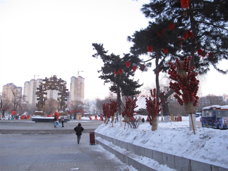 psb (22).jpg