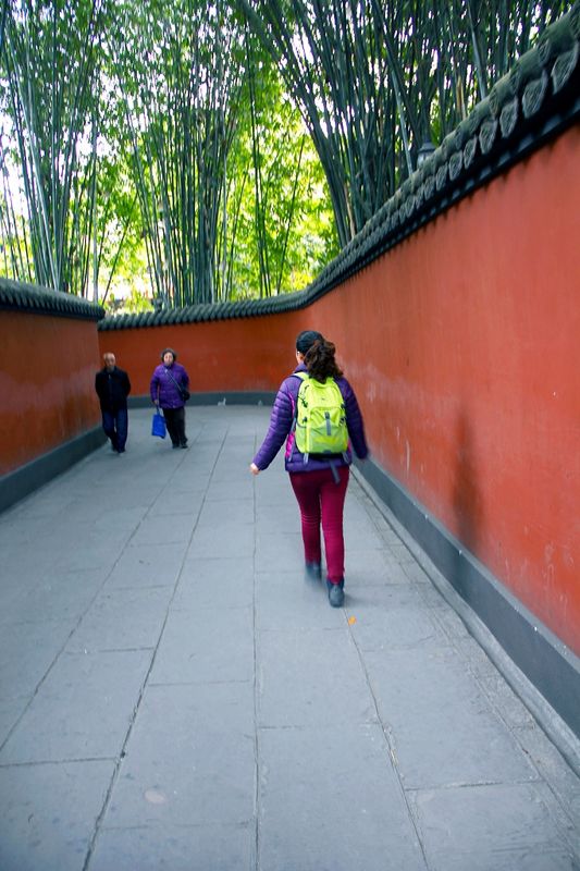 _mg_5465.jpg