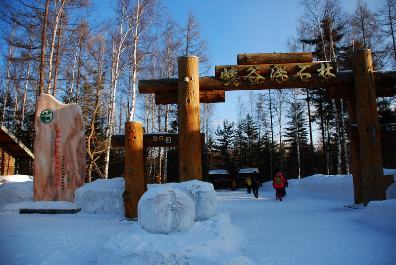 dsc_4390.jpg