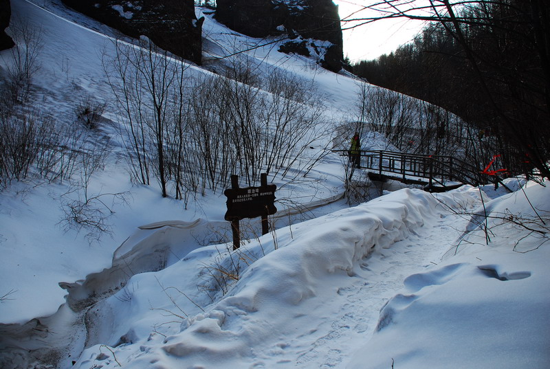 dsc_4423.jpg