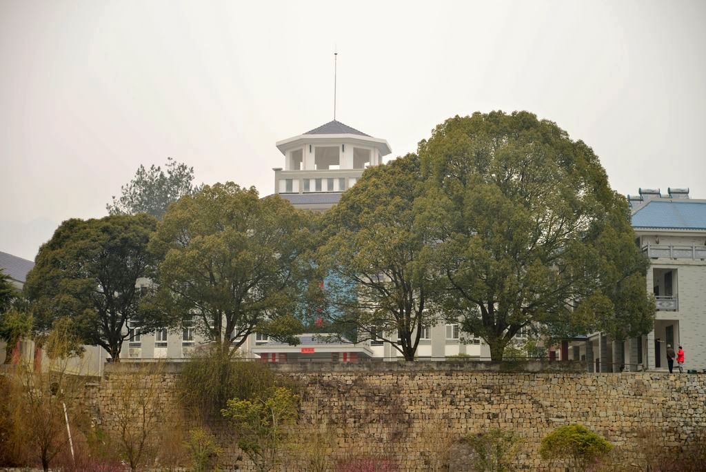 dsc_0374.jpg