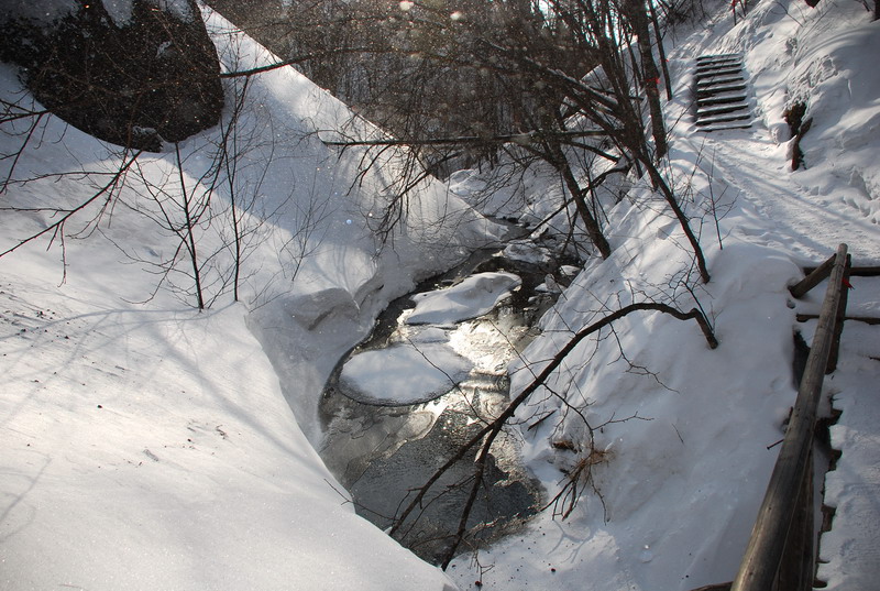dsc_4448.jpg