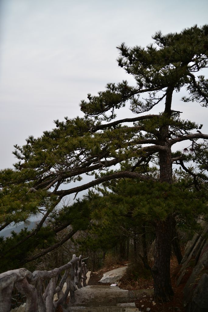 dsc_0355.jpg
