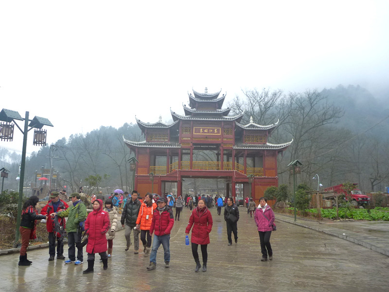 p1140107_.jpg