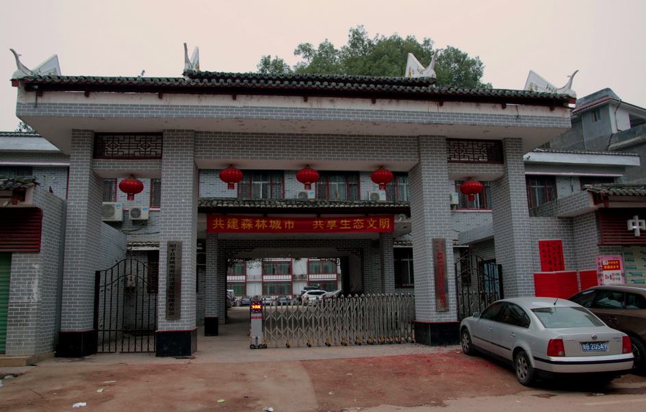 zh53.jpg