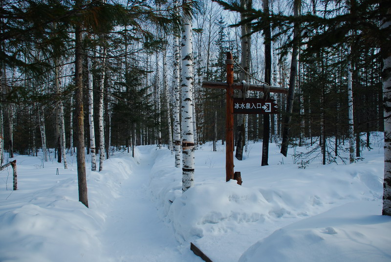 dsc_4510.jpg