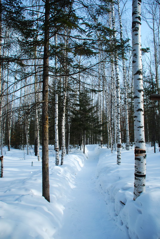 dsc_4511.jpg