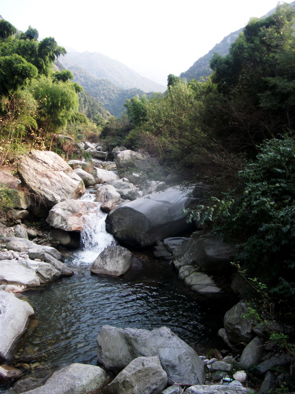dscf0262.jpg