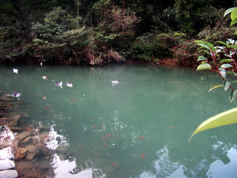 dscf0273.jpg