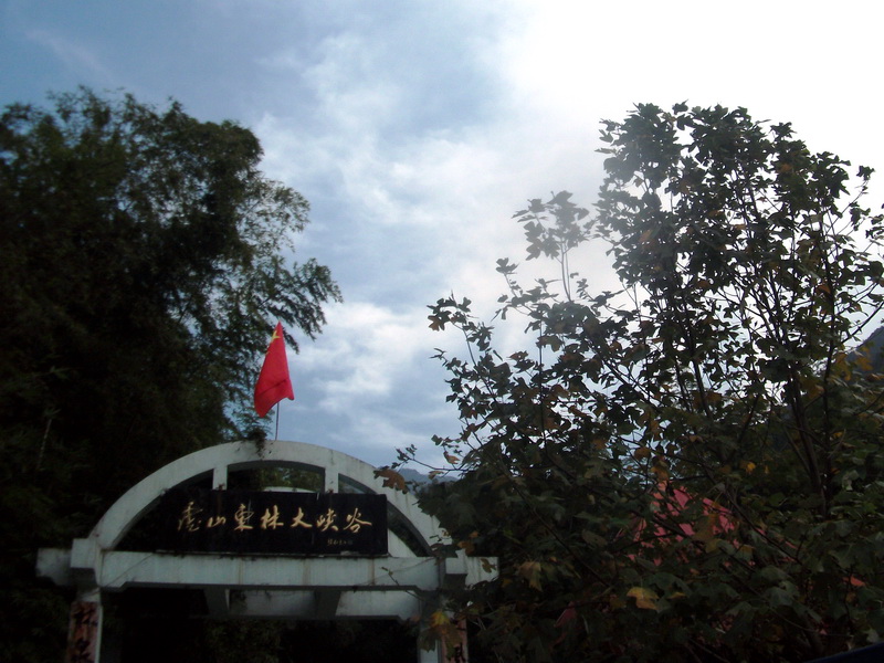 dscf0281.jpg