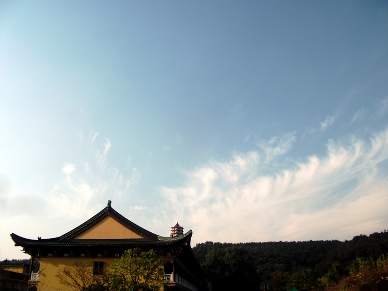 dscf0287.jpg