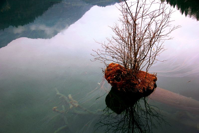 _mg_5623.jpg
